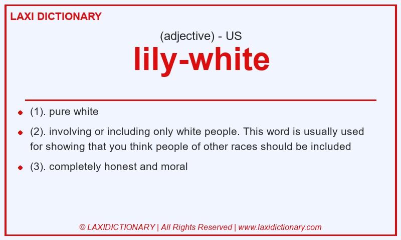 Definition lily-white in American English