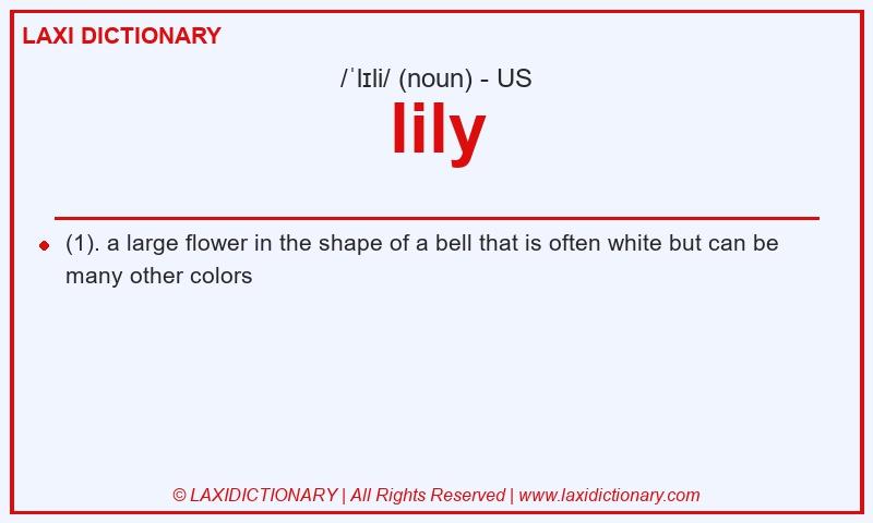 Definition lily in American English
