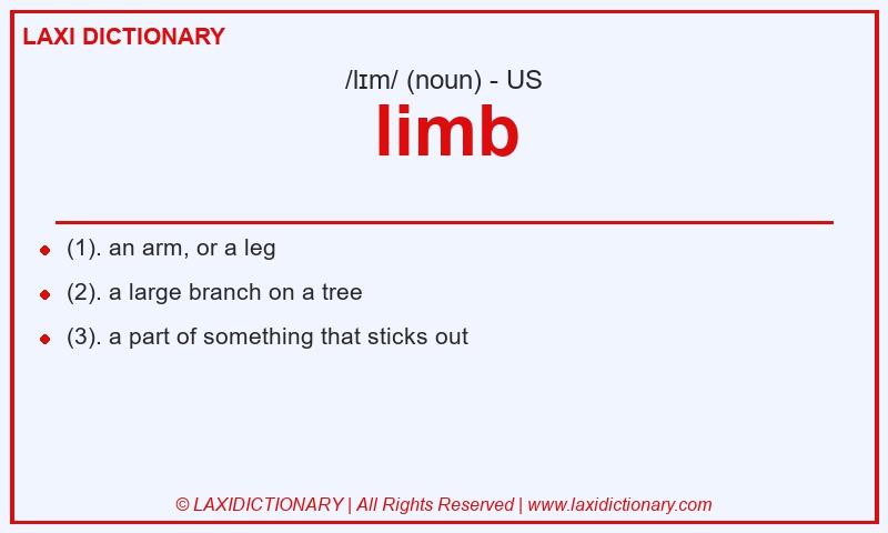 Definition limb in American English