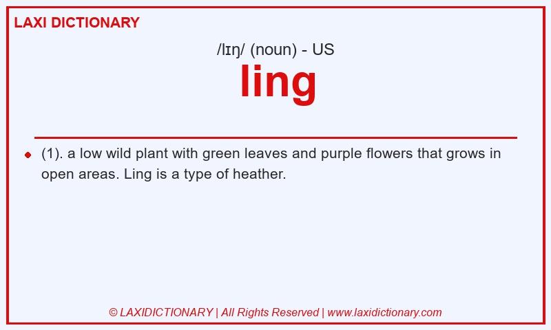 Definition ling in American English