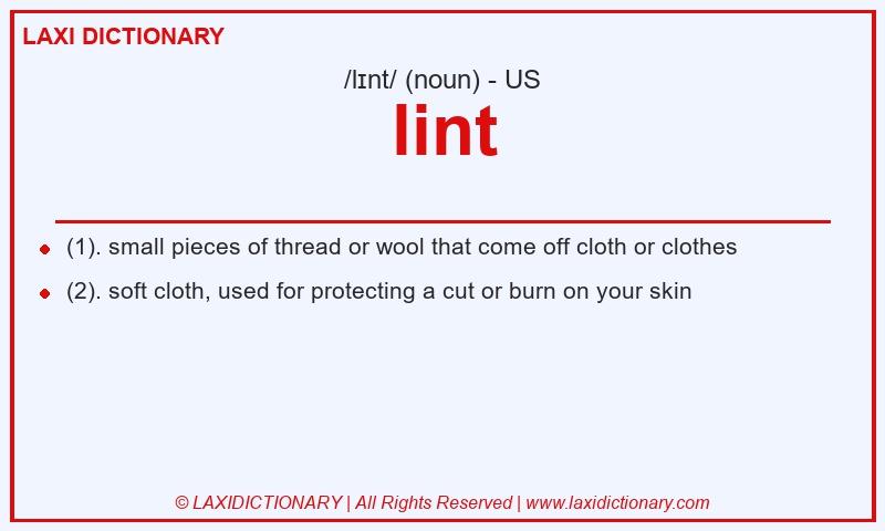 Definition lint in American English