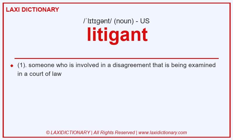 Definition litigant in American English