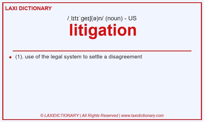 Definition litigation in American English