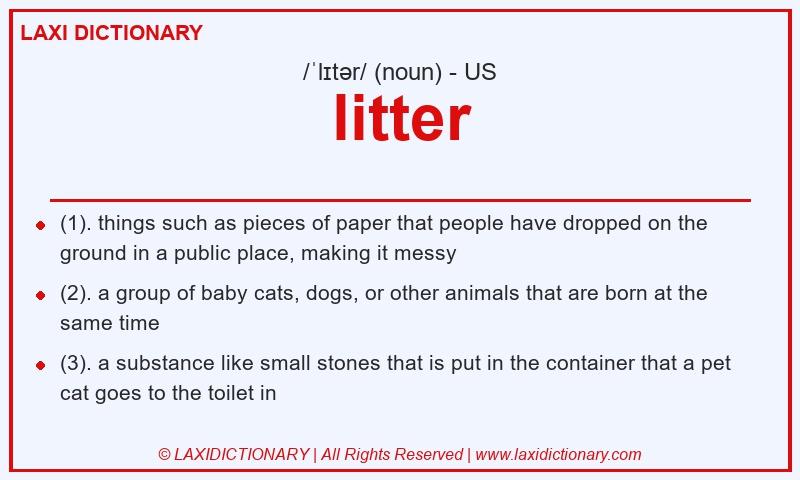 Definition litter in American English