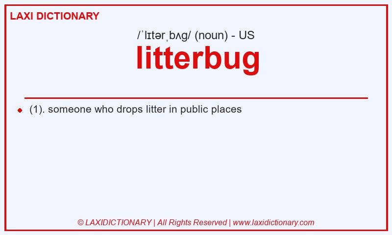 Definition litterbug in American English
