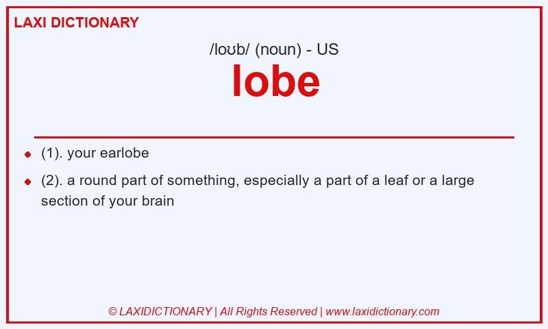 Definition lobe in American English