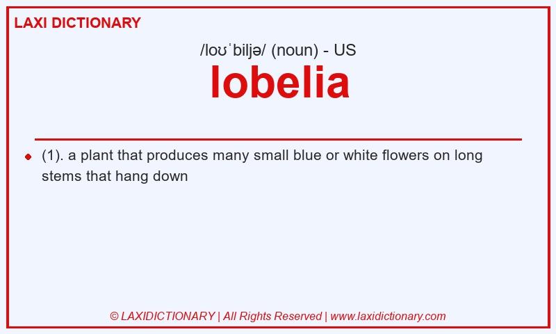 Definition lobelia in American English