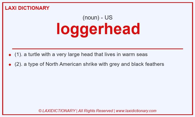Definition loggerhead in American English
