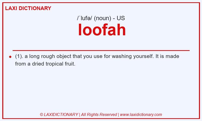 Definition loofah in American English