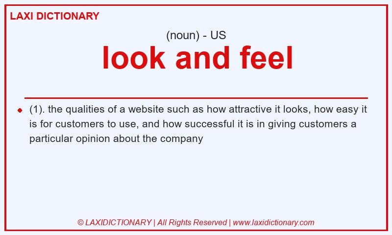 Definition look and feel in American English