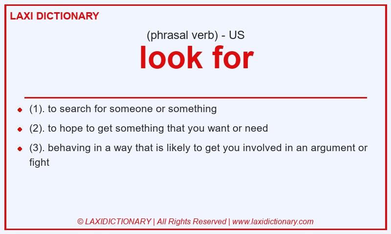 Definition look for in American English