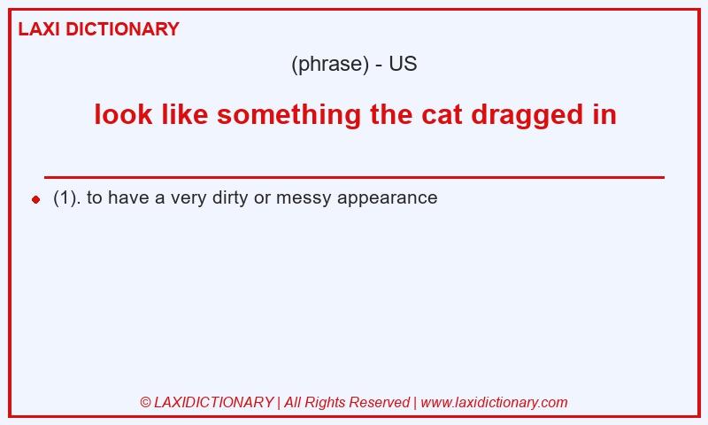 Definition look like something the cat dragged in in American English