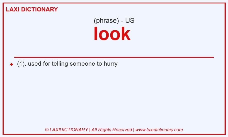 Definition look in American English