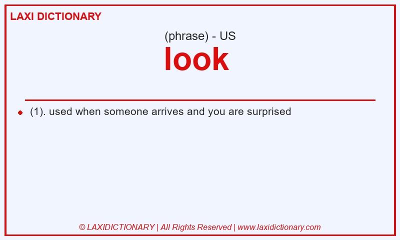 Definition look in American English