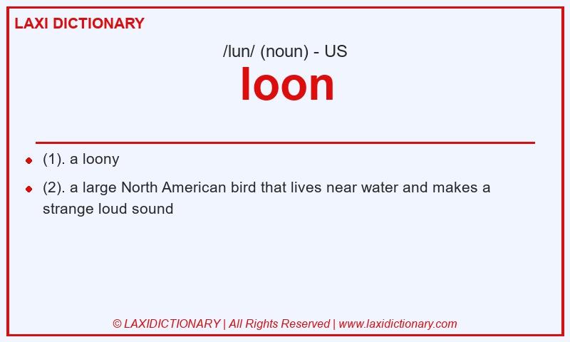 Definition loon in American English