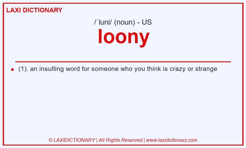 Definition loony in American English