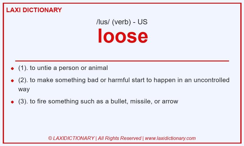 Definition loose in American English
