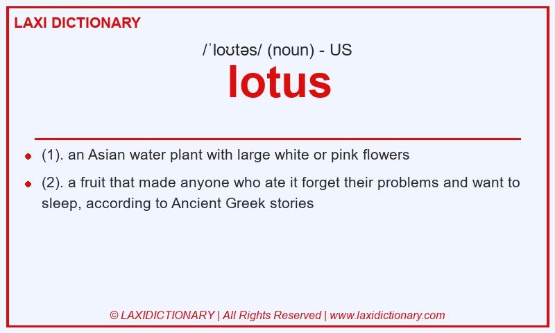 Definition lotus in American English