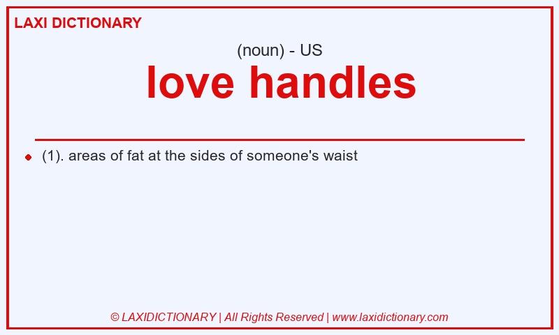Definition love handles in American English
