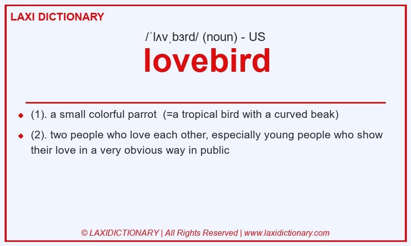 Definition lovebird in American English