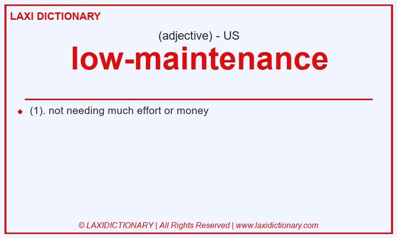Definition low-maintenance in American English