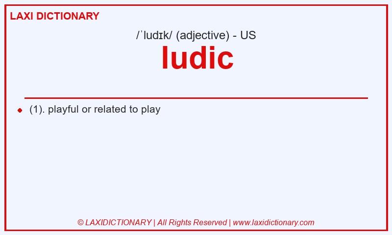 Definition ludic in American English