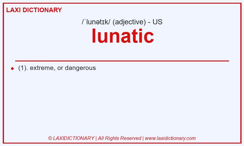 Definition lunatic in American English