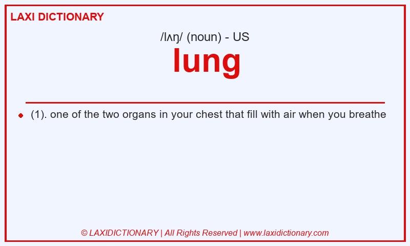 Definition lung in American English