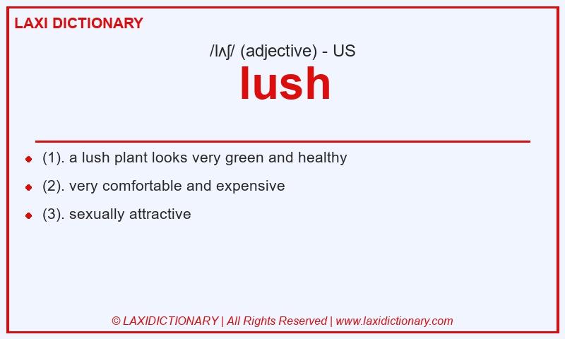 Definition lush in American English