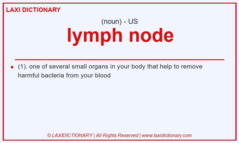Definition lymph node in American English