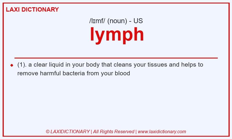 Definition lymph in American English