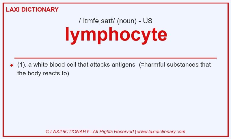 Definition lymphocyte in American English