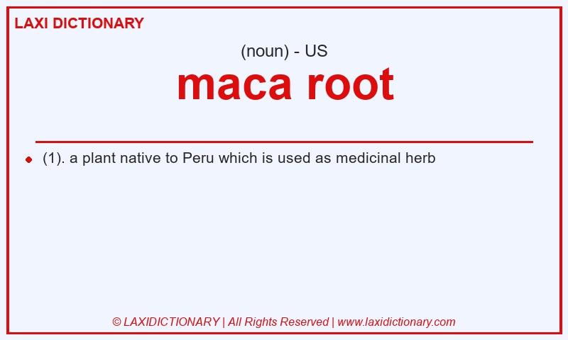 Definition maca root in American English