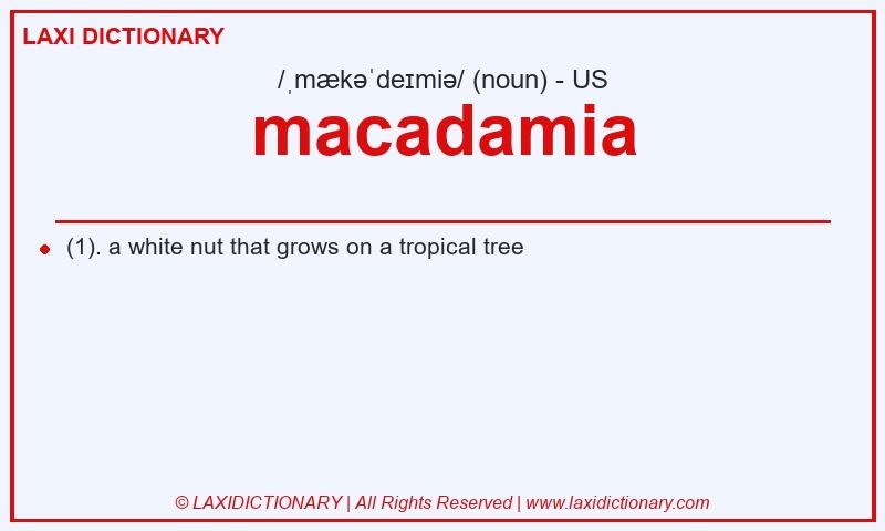 Definition macadamia in American English