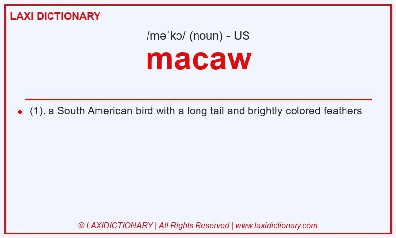 Definition macaw in American English