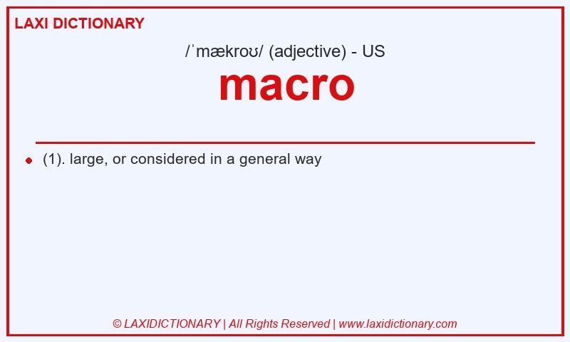 Definition macro in American English