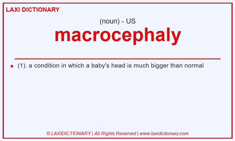Definition macrocephaly in American English