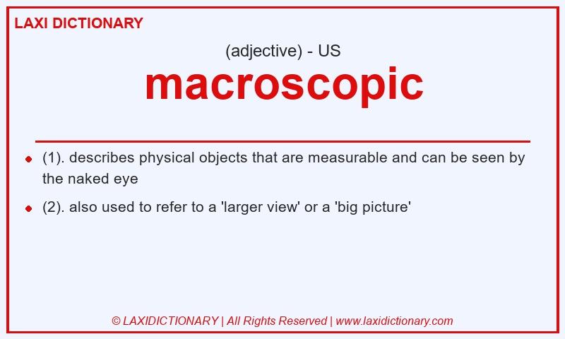 Definition macroscopic in American English