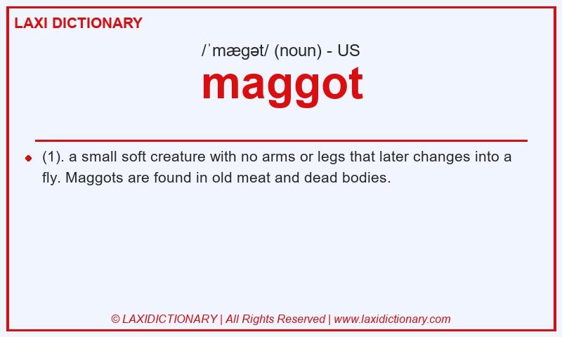 Definition maggot in American English