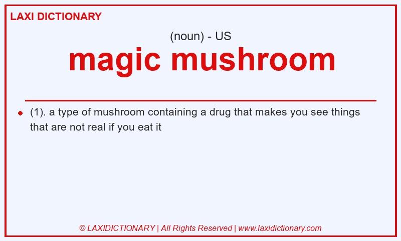 Definition magic mushroom in American English