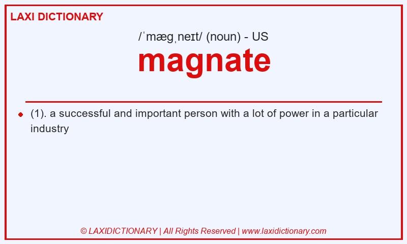 Definition magnate in American English