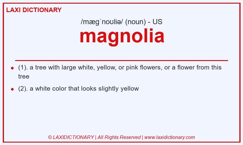 Definition magnolia in American English