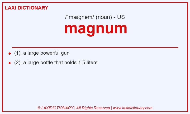 Definition magnum in American English