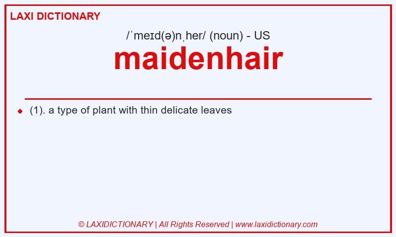 Definition maidenhair in American English