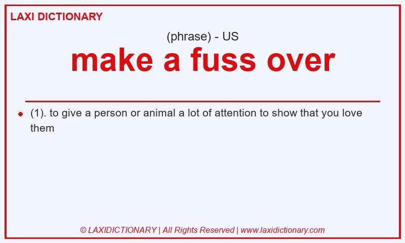 Definition make a fuss over in American English