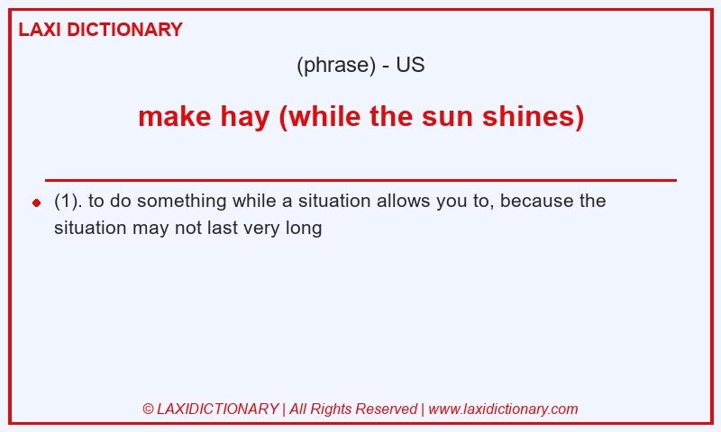 Definition make hay (while the sun shines) in American English