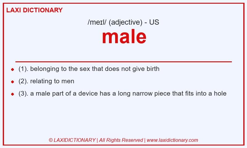 Definition male in American English
