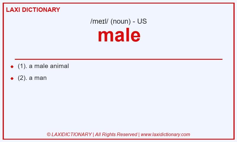 Definition male in American English