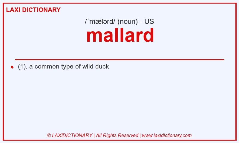 Definition mallard in American English