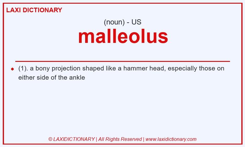 Definition malleolus in American English